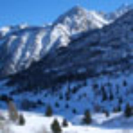 Swim Hydrophonicafé